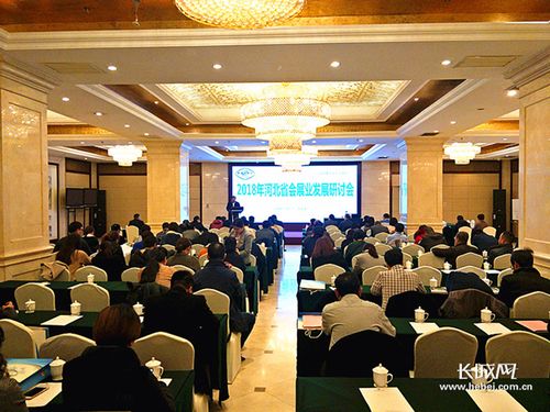 2018河北省會(huì)展業(yè)發(fā)展研討會(huì)在石舉行 共繪行業(yè)新藍(lán)圖