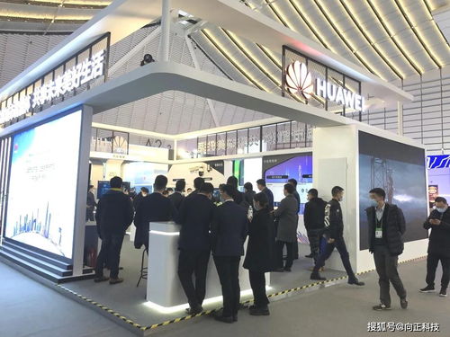 2020世界互聯(lián)網(wǎng)大會(huì)“互聯(lián)網(wǎng)之光”博覽會(huì) 云端綻放的數(shù)字盛會(huì)